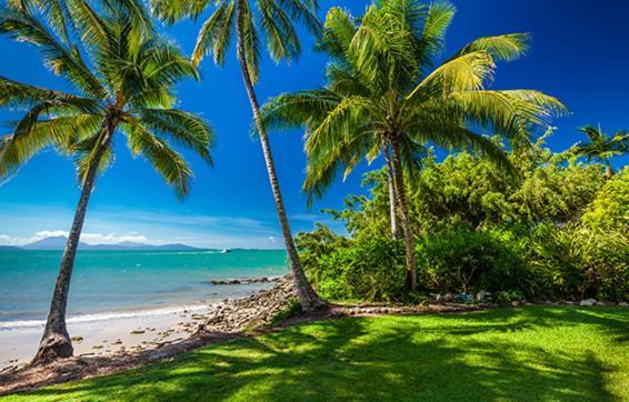 Cosy Studio Port Douglas Exterior photo